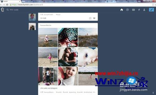 Windows7系统下Tumblr打不开了的解决方法