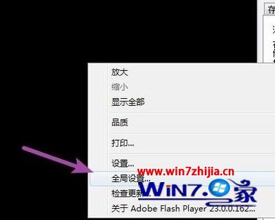 Win10系统下使用ckplayer软件的方法